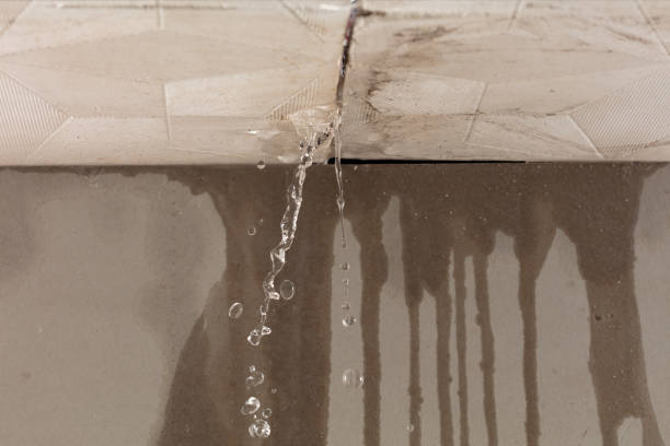 Professional Water Extraction technician working in Lake Forest, IL